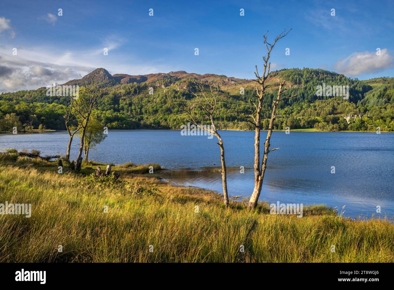 Ben A'an e Tigh Mor sulla riva di Loch Achray, Trossachs, Stirling, Scozia Foto Stock