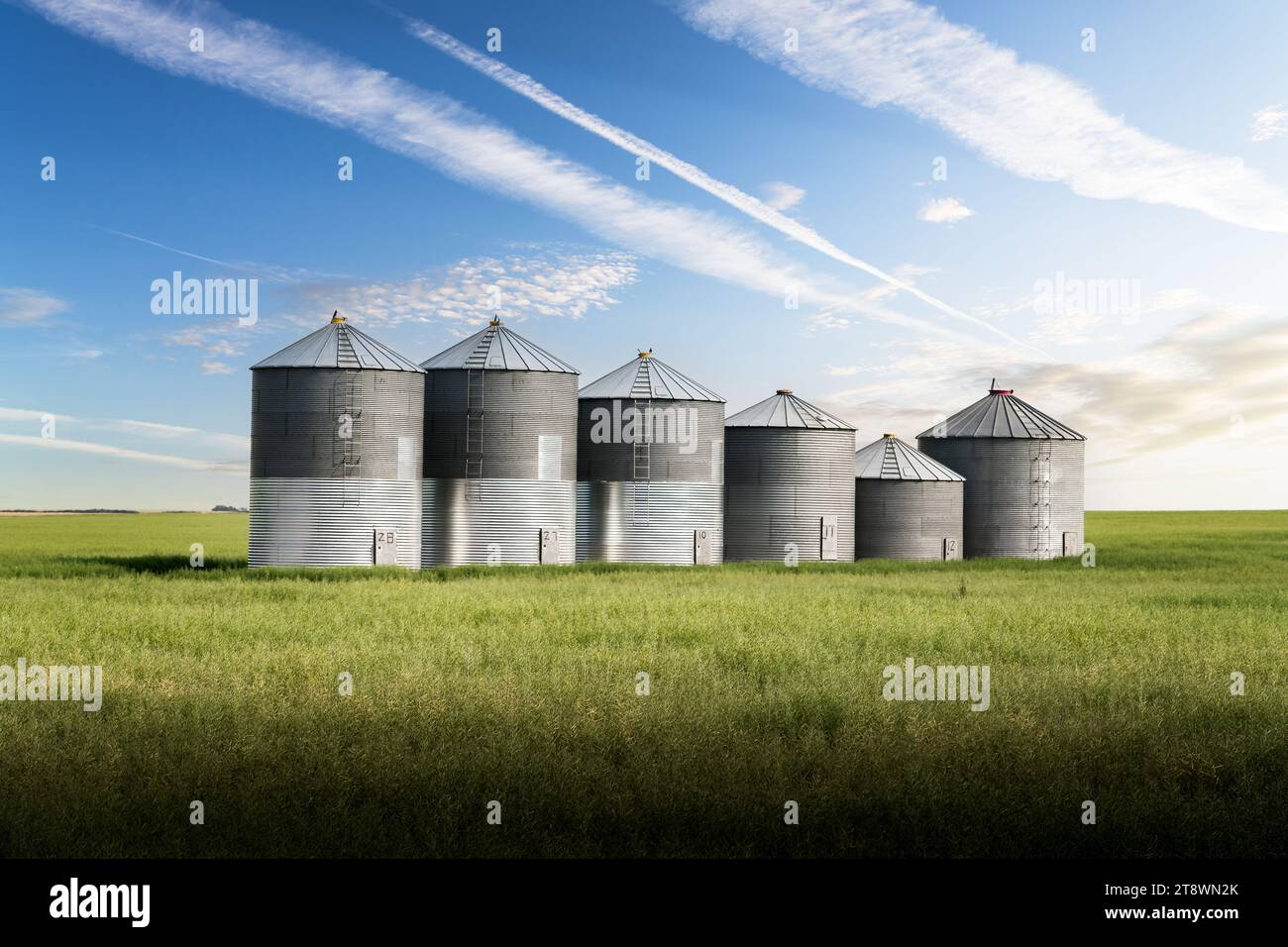 Silos di grano in fila su un campo di grano che si affaccia sulle praterie canadesi con un getto d'acqua sospeso nella contea di Rocky View, Alberta, Canada. Foto Stock Silos di grano in fila su un campo di grano che si affaccia sulle praterie canadesi con un getto d'acqua sospeso nella contea di Rocky View, Alberta, Canada. Foto Stock
