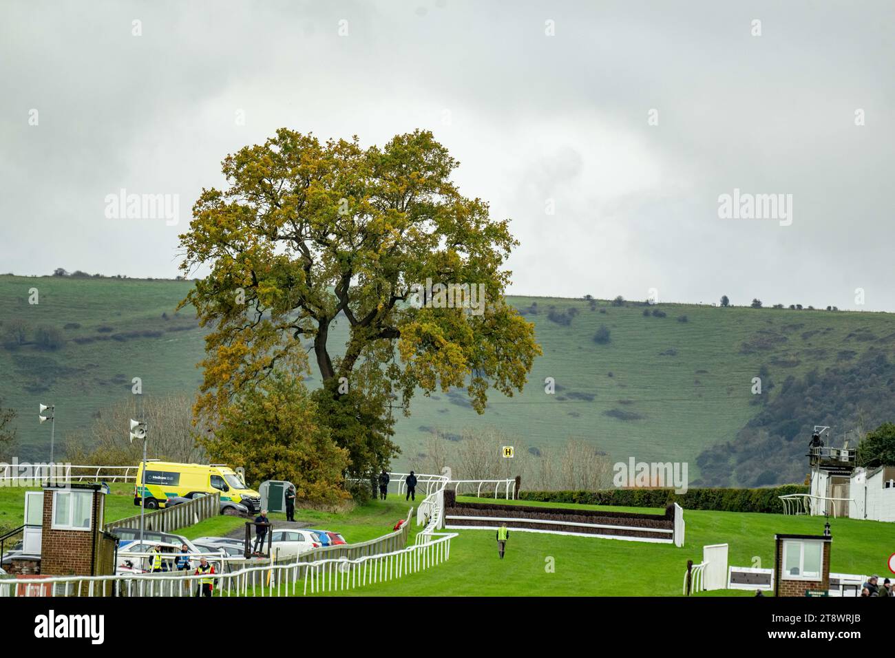 Corse di cavalli all'ippodromo di Plumpton, Sussex, Regno Unito. Foto Stock