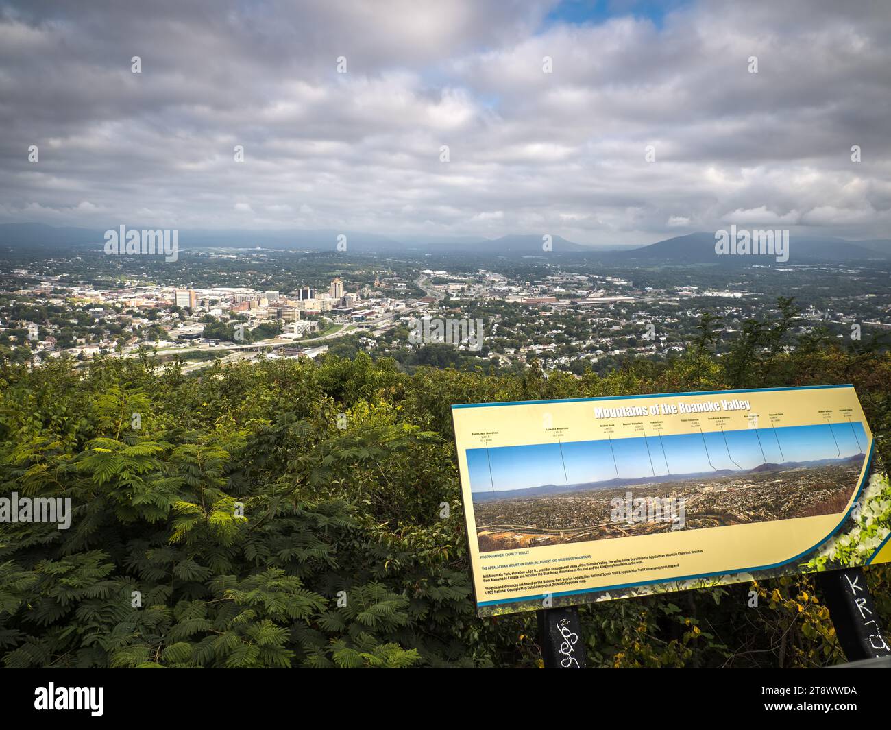 Vista panoramica di Roanoke presso il Mill Mountain Wildflower Garden, Roanoke Foto Stock