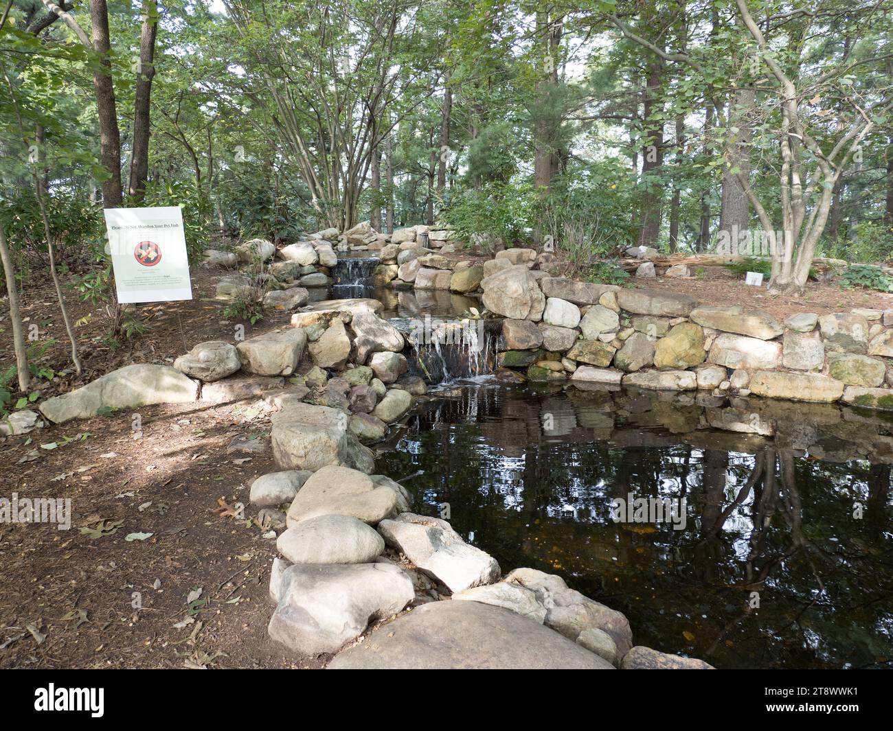 Mill Mountain Wildflower Garden, Roanoke Foto Stock