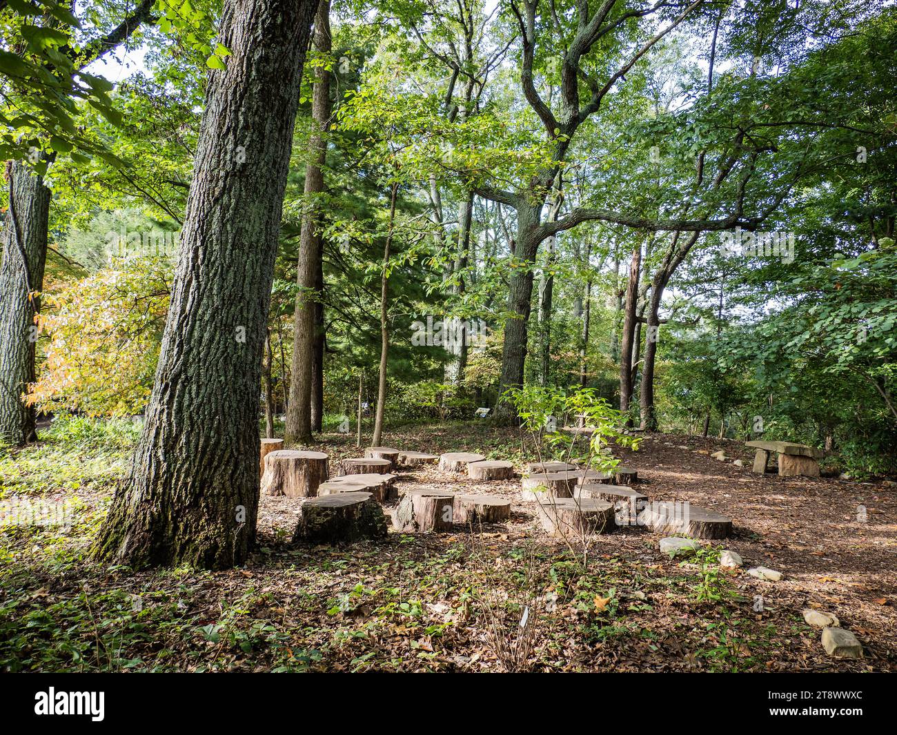 Mill Mountain Wildflower Garden, Roanoke Foto Stock