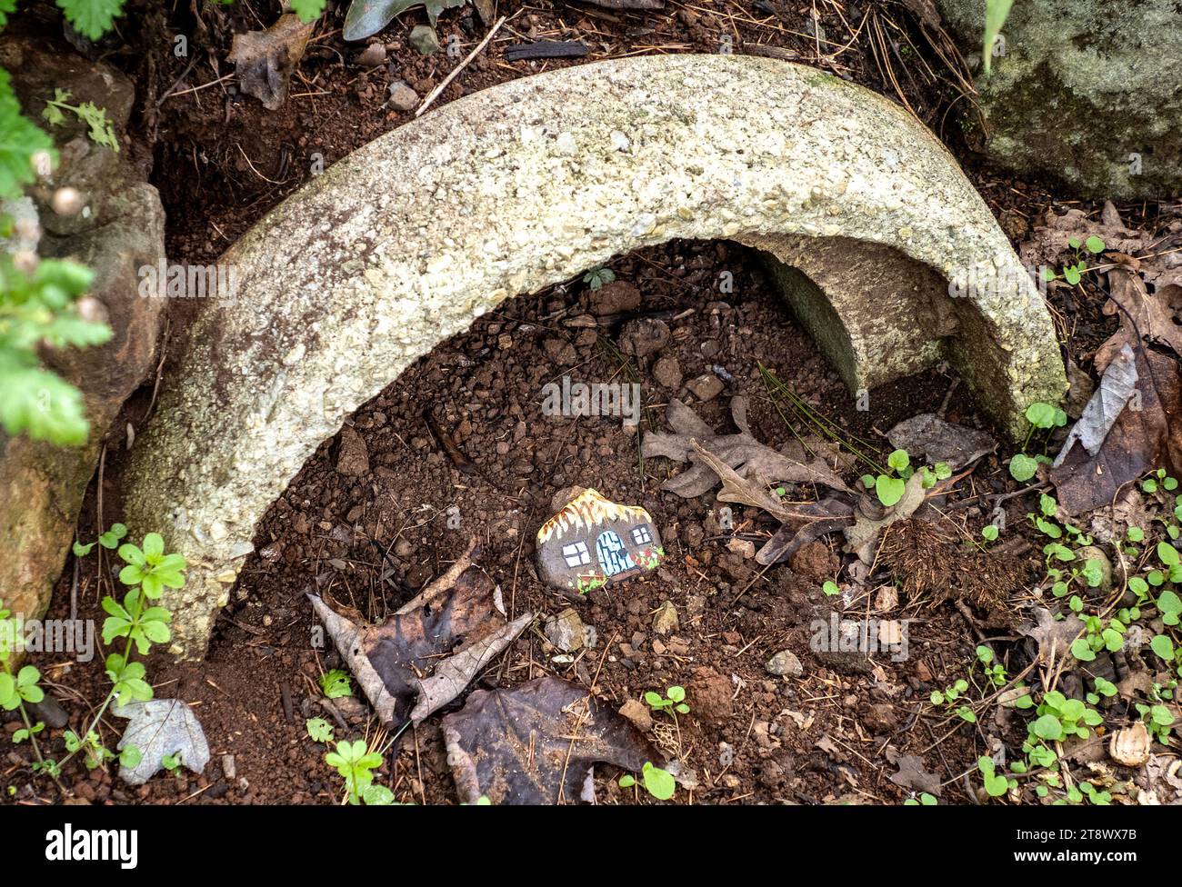 Carini mangiatori di scoiattoli al Mill Mountain Wildflower Garden, Roanoke Foto Stock