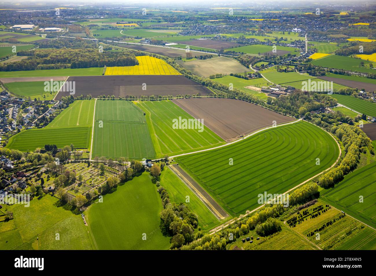 Vista aerea, prati e campi open space, Mühlenstraße, Niederaden, Lünen, zona della Ruhr, Renania settentrionale-Vestfalia, Germania, Germania, Europa, foto aerea, Aer Foto Stock
