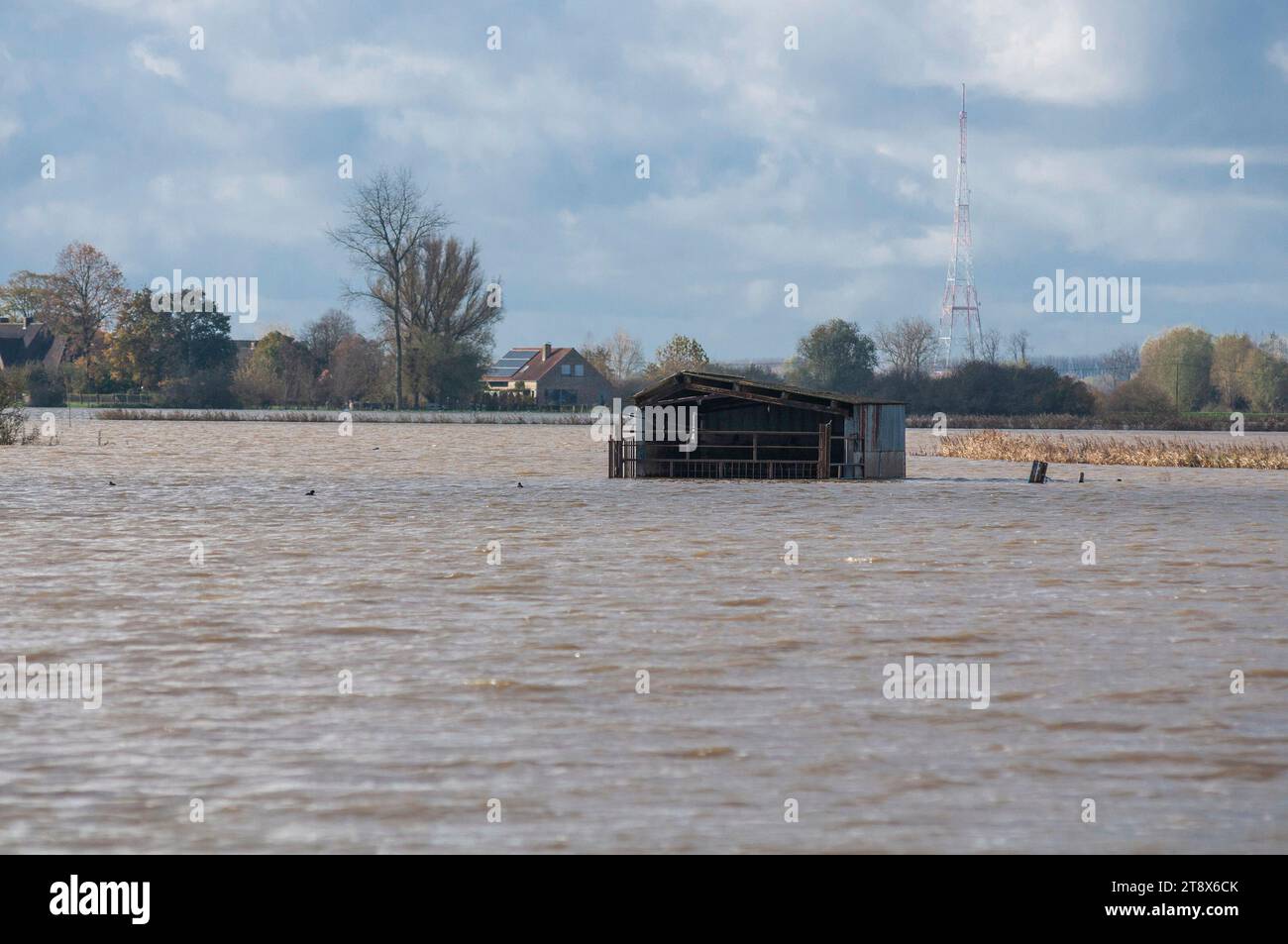 17 novembre 2023, Fiandre, Belgio: Campi immersi nell'acqua di inondazione, mentre la pioggia batte il record del livello dell'acqua nelle Fiandre. Per più di dieci giorni, Westhoek nelle Fiandre occidentali è stato inondato da forti piogge. La gravità delle inondazioni e la risposta alle emergenze vedrà con ogni probabilità la situazione riconosciuta come un ''disastro nazionale''. Record livelli di acqua piovana da lunedì 6 novembre, con il governatore delle Fiandre occidentali che dichiara il piano di emergenza provinciale per la regione di Westhoek alla fine della scorsa settimana. 196 litri di pioggia sono caduti per metro quadrato negli ultimi giorni â€“ più del doppio della mediana o Foto Stock