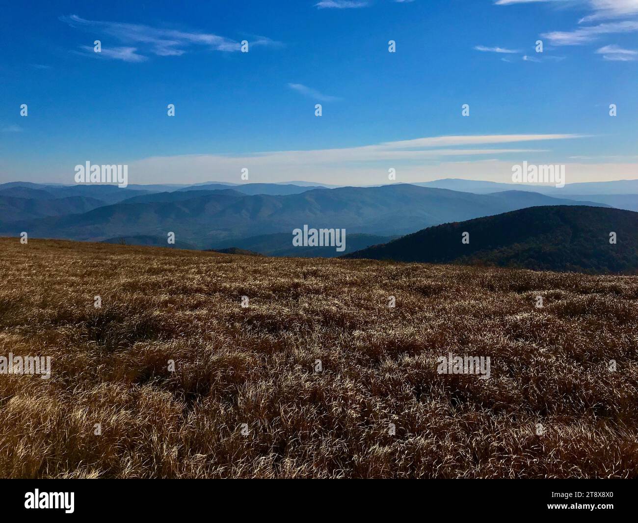 Vista sulle montagne Bieszczady, montagne visibili in lontananza nell'aura autunnale. Foto Stock