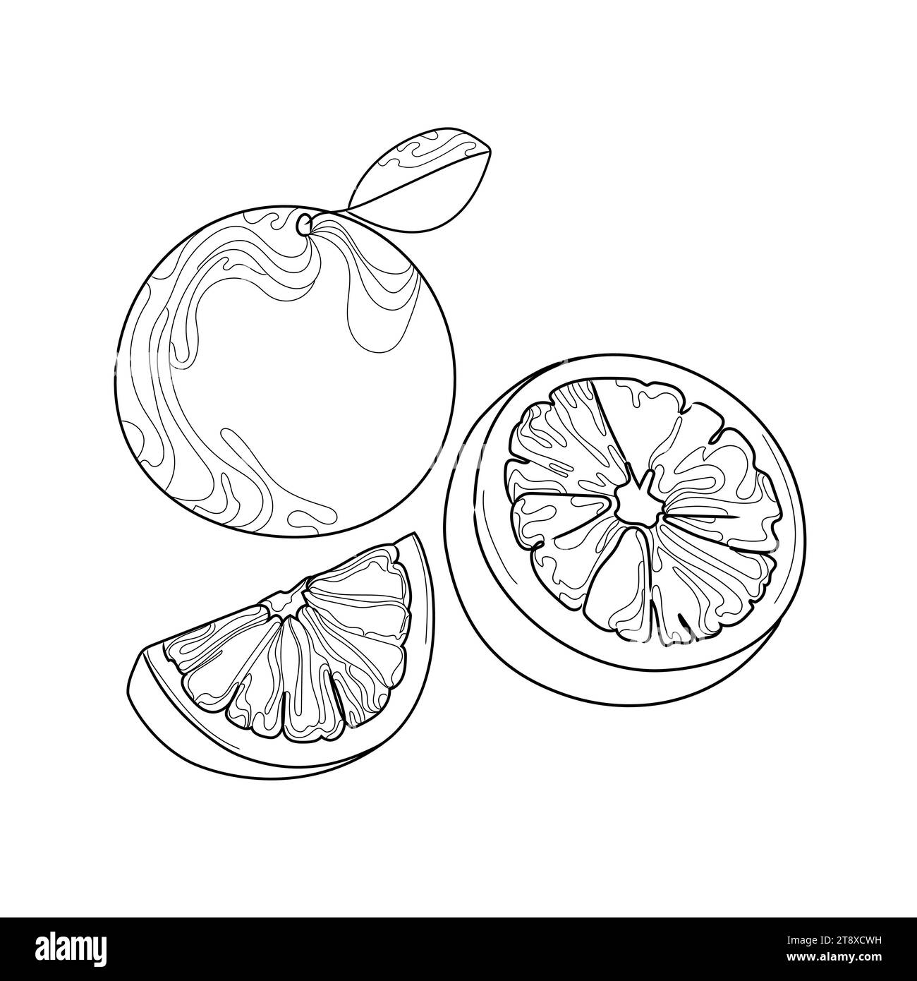 Illustrazioni vettoriali in arancio su sfondo bianco.Arancio intero e a fette in stile contorno astratto.frutta bianca e nera, icona alla moda, embl Illustrazione Vettoriale