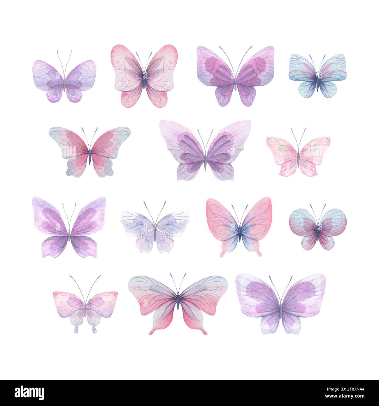 Le farfalle sono rosa, blu, lilla, volanti, delicate con ali e spruzzi di vernice. Illustrazione ad acquerello disegnata a mano. Set di elementi isolati attivato Foto Stock