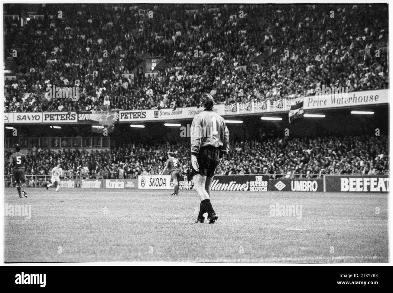 La leggenda gallese del goalkeeping Neville Southall in azione. Qualificazioni al gruppo 4 della Coppa del mondo FIFA 1994 – Galles contro RCS (Cecoslovacchia AKA Representation of Czechs and Slovaks) al Cardiff Arms Park, Galles, Regno Unito l'8 settembre 1993. Una vittoria per il Galles in questa partita avrebbe quasi garantito la qualificazione con 2 partite a gironi rimanenti. Hanno guidato 2-1 ma hanno concesso un gol di punizione da Peter Dubovský e la partita è finita 2-2. Foto: Rob Watkins Foto Stock