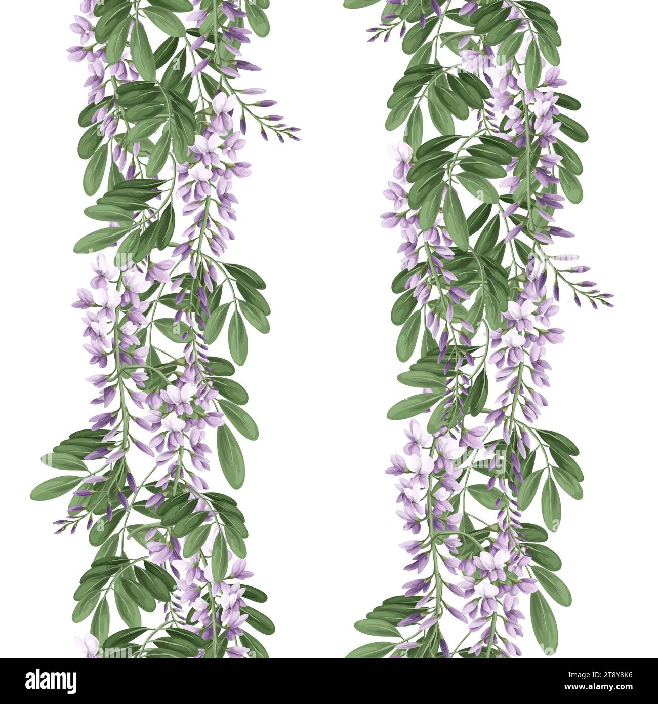 Bordo con fiori e foglie di acacia. Vettore. Illustrazione Vettoriale