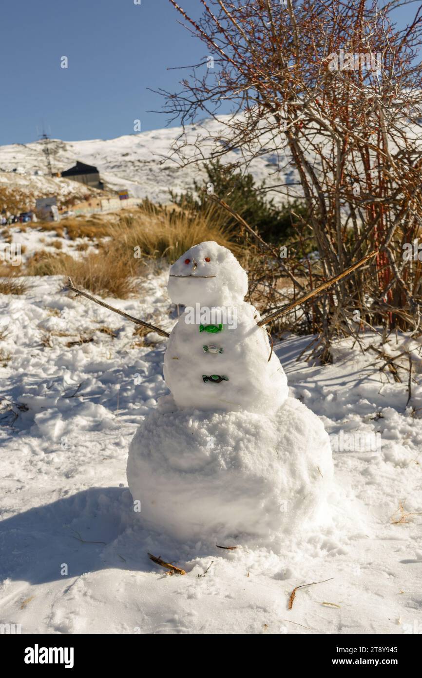 Alpine Frost Snowman adornano il paesaggio delle Snowy Mountain Foto Stock