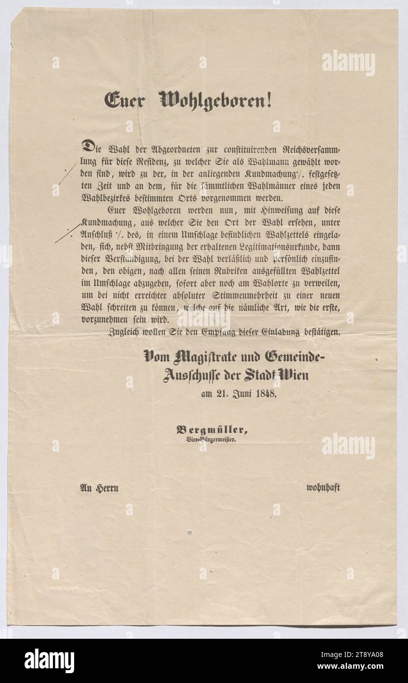 Una dichiarazione dell'elettore (presumibilmente Ludwig M. Seidl) sull'elezione dei deputati al Reichstag nel 1848, Unknown, 1848, paper, Printing, altezza 39,6 cm, larghezza 24,8 cm, elezioni, rivoluzioni del 1848, 1849, la Vienna Collection Foto Stock