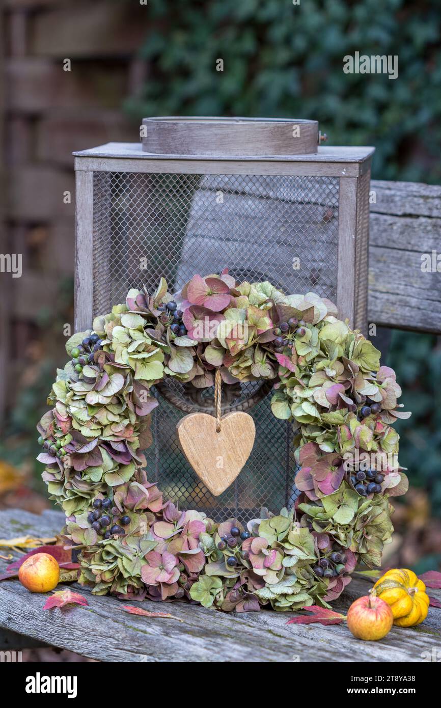 corona di fiori di ortensia e bacche di edera nel giardino autunnale Foto Stock