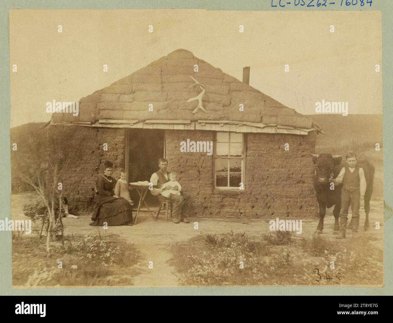 La fotografia mostra una famiglia di frontiera di fronte alla loro casa di riposo, con un ragazzo che tiene toro (a destra), Custer County, Nebraska, intorno al 1886. Foto di Solomon D Butcher Foto Stock