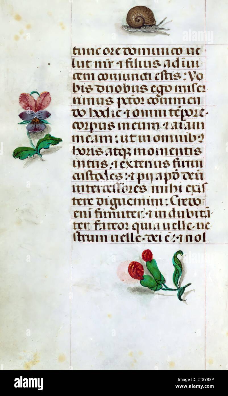 Libro delle ore, Marginalia, questo manoscritto è stato creato ca. 1500 a Bruges o Gand, e fu influenzato dal Maestro dei libri di preghiera, dal Maestro del Libro di preghiera di Dresda e dal Maestro delle Scene di David nel breviario di Grimani. Probabilmente è stato fatto per una patrona femminile con affinità francescana, come suggerito dal contenuto del calendario. Il libro è pesantemente illuminato con diciannove miniature, marginalia su pagine senza miniature, e ventiquattro illuminazioni del calendario, quest'ultimo include segni zodiacali abbinati a illustrazioni del lavoro del mese Foto Stock