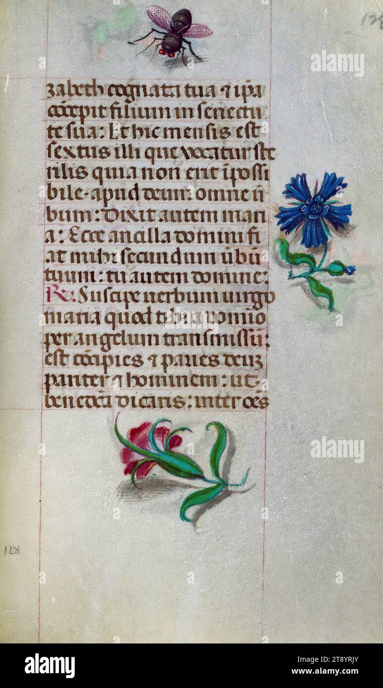 Libro delle ore, Marginalia, questo manoscritto è stato creato ca. 1500 a Bruges o Gand, e fu influenzato dal Maestro dei libri di preghiera, dal Maestro del Libro di preghiera di Dresda e dal Maestro delle Scene di David nel breviario di Grimani. Probabilmente è stato fatto per una patrona femminile con affinità francescana, come suggerito dal contenuto del calendario. Il libro è pesantemente illuminato con diciannove miniature, marginalia su pagine senza miniature, e ventiquattro illuminazioni del calendario, quest'ultimo include segni zodiacali abbinati a illustrazioni del lavoro del mese Foto Stock