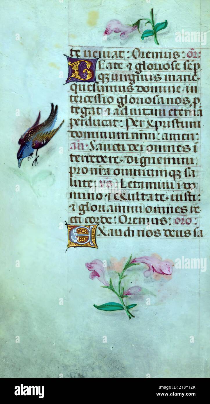 Libro delle ore, Marginalia, questo manoscritto è stato creato ca. 1500 a Bruges o Gand, e fu influenzato dal Maestro dei libri di preghiera, dal Maestro del Libro di preghiera di Dresda e dal Maestro delle Scene di David nel breviario di Grimani. Probabilmente è stato fatto per una patrona femminile con affinità francescana, come suggerito dal contenuto del calendario. Il libro è pesantemente illuminato con diciannove miniature, marginalia su pagine senza miniature, e ventiquattro illuminazioni del calendario, quest'ultimo include segni zodiacali abbinati a illustrazioni del lavoro del mese Foto Stock