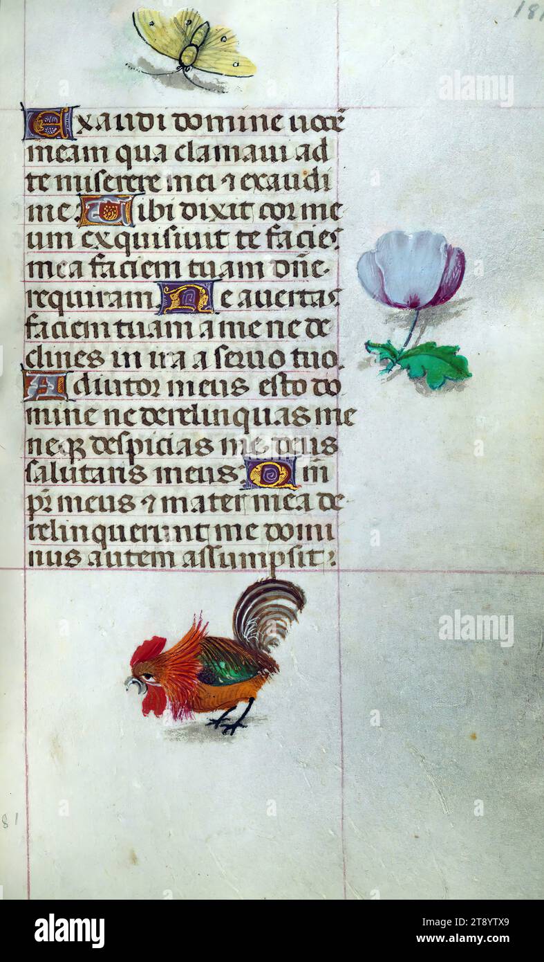 Libro delle ore, Marginalia, questo manoscritto è stato creato ca. 1500 a Bruges o Gand, e fu influenzato dal Maestro dei libri di preghiera, dal Maestro del Libro di preghiera di Dresda e dal Maestro delle Scene di David nel breviario di Grimani. Probabilmente è stato fatto per una patrona femminile con affinità francescana, come suggerito dal contenuto del calendario. Il libro è pesantemente illuminato con diciannove miniature, marginalia su pagine senza miniature, e ventiquattro illuminazioni del calendario, quest'ultimo include segni zodiacali abbinati a illustrazioni del lavoro del mese Foto Stock