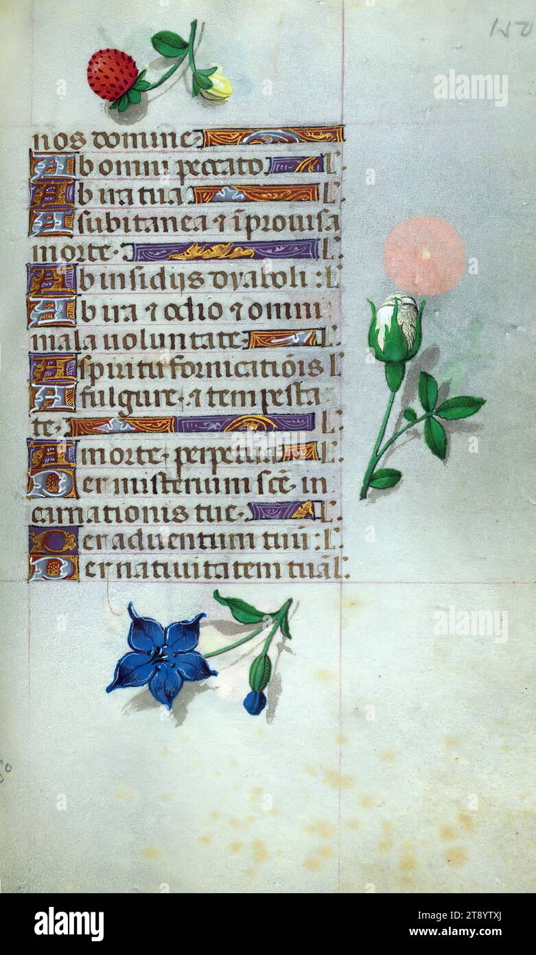 Libro delle ore, Marginalia, questo manoscritto è stato creato ca. 1500 a Bruges o Gand, e fu influenzato dal Maestro dei libri di preghiera, dal Maestro del Libro di preghiera di Dresda e dal Maestro delle Scene di David nel breviario di Grimani. Probabilmente è stato fatto per una patrona femminile con affinità francescana, come suggerito dal contenuto del calendario. Il libro è pesantemente illuminato con diciannove miniature, marginalia su pagine senza miniature, e ventiquattro illuminazioni del calendario, quest'ultimo include segni zodiacali abbinati a illustrazioni del lavoro del mese Foto Stock