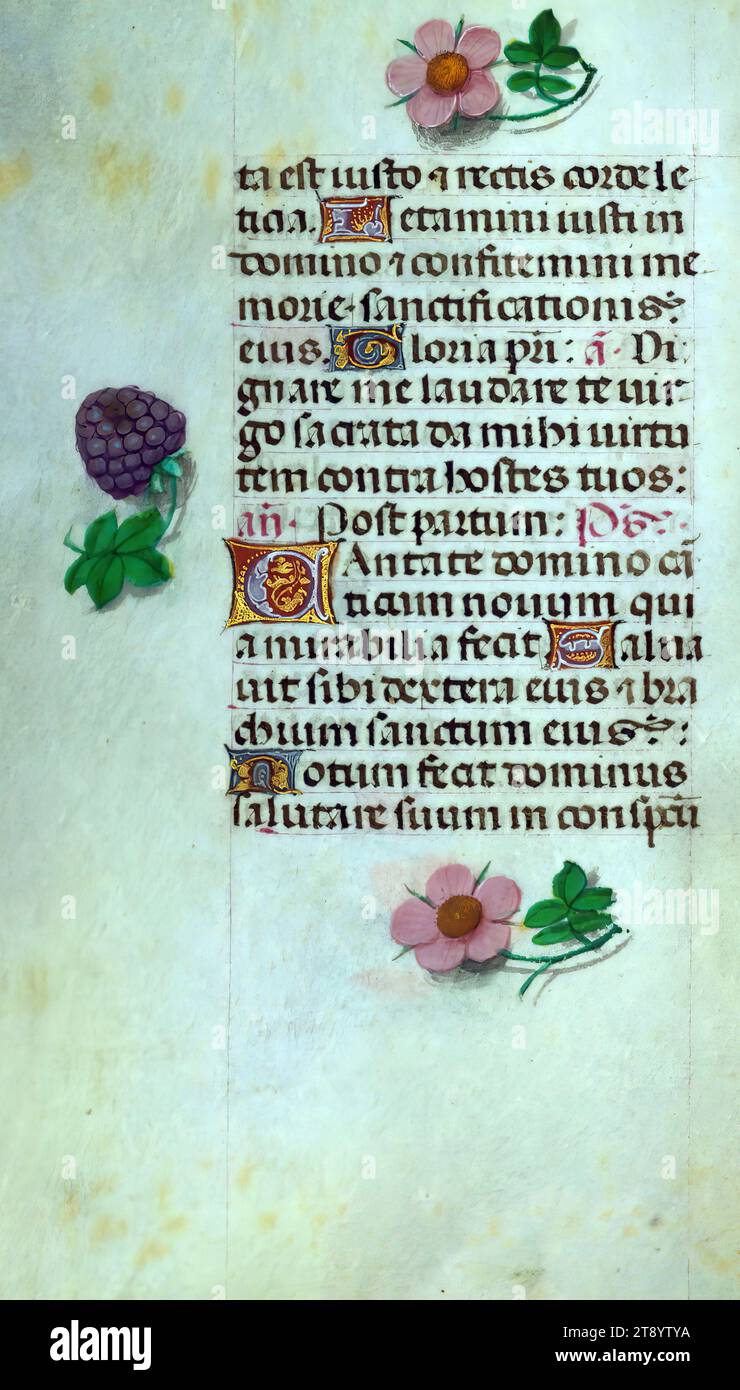 Libro delle ore, questo manoscritto è stato creato CA. 1500 a Bruges o Gand, e fu influenzato dal Maestro dei libri di preghiera, dal Maestro del Libro di preghiera di Dresda e dal Maestro delle Scene di David nel breviario di Grimani. Probabilmente è stato fatto per una patrona femminile con affinità francescana, come suggerito dal contenuto del calendario. Il libro è pesantemente illuminato con diciannove miniature, marginalia su pagine senza miniature, e ventiquattro illuminazioni del calendario, quest'ultimo include segni zodiacali abbinati a illustrazioni del lavoro del mese Foto Stock