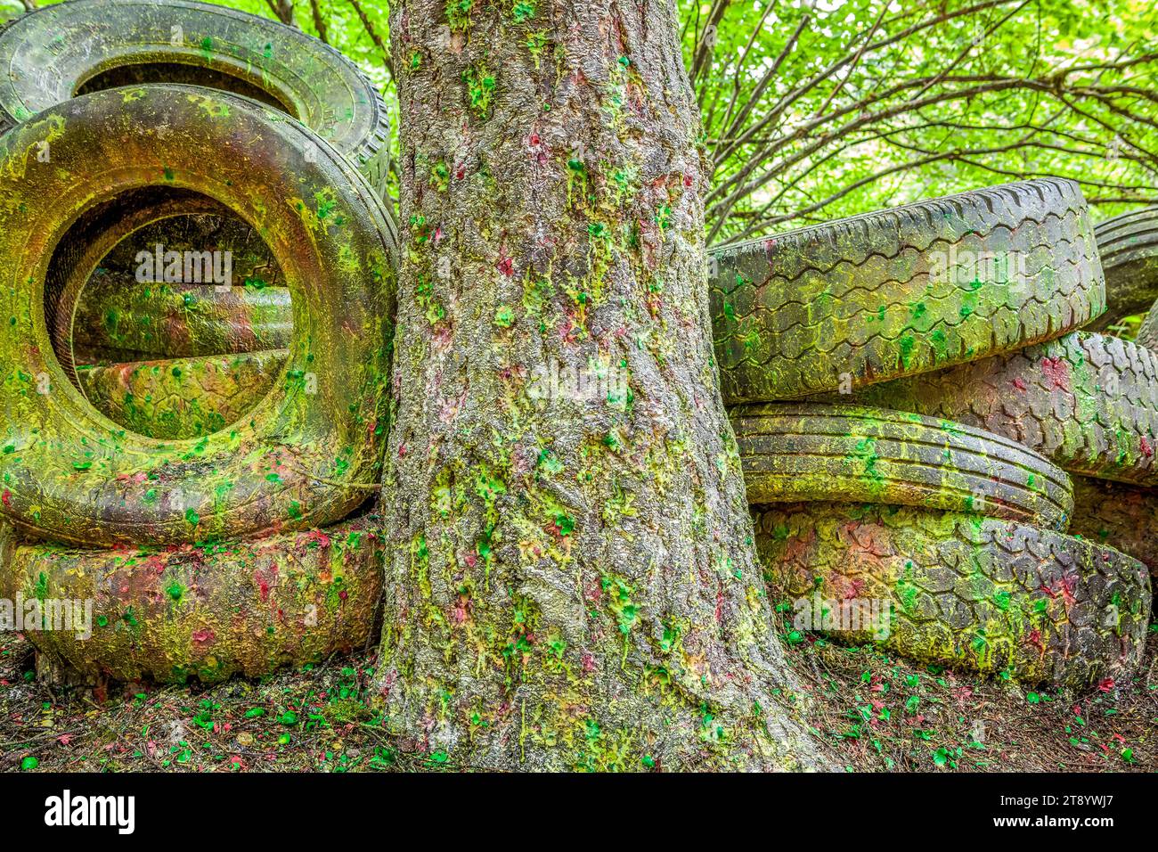 Coperti di vernice barricata fatta di pneumatici sul campo di paintball, Oregon Foto Stock