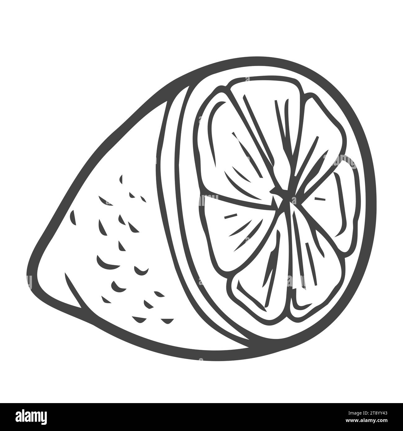 Illustrazione vettoriale disegnata a mano in stile cartoni animati. Set da collezione di agrumi al limone, lime e arancia per menu, design del mercato agricolo, makin per cocktail Illustrazione Vettoriale