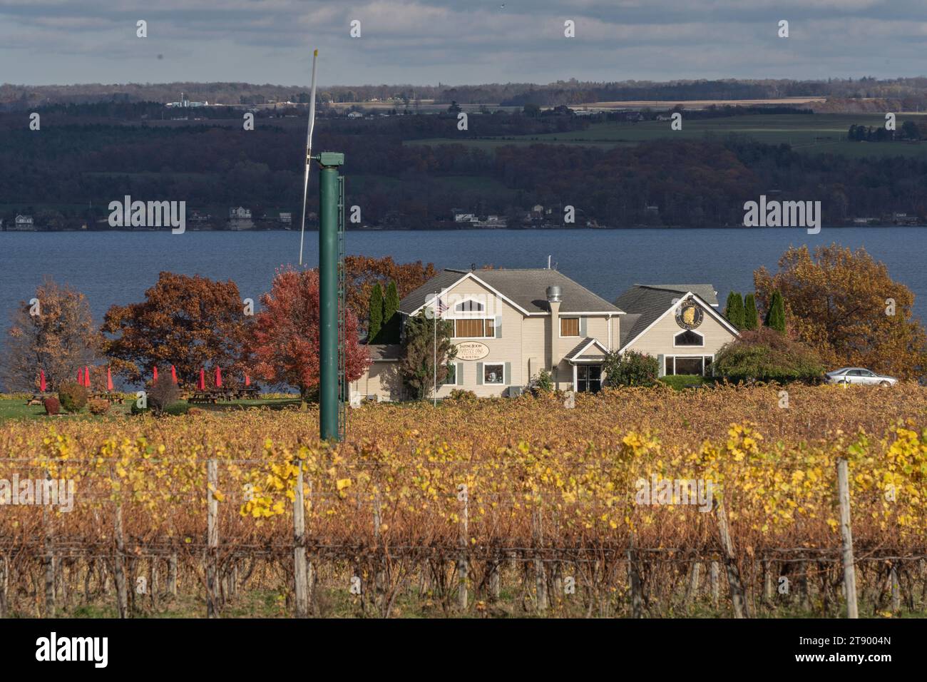 Ovid, New York – 5 novembre 2023: Thirsty Owl Vineyard si trova sul lago Cayuga nella regione dei Finger Lakes di New York Foto Stock