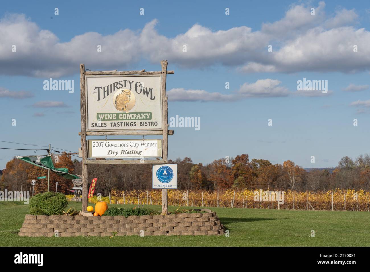 Ovid, New York – 5 novembre 2023: Thirsty Owl Vineyard si trova sul lago Cayuga nella regione dei Finger Lakes di New York Foto Stock