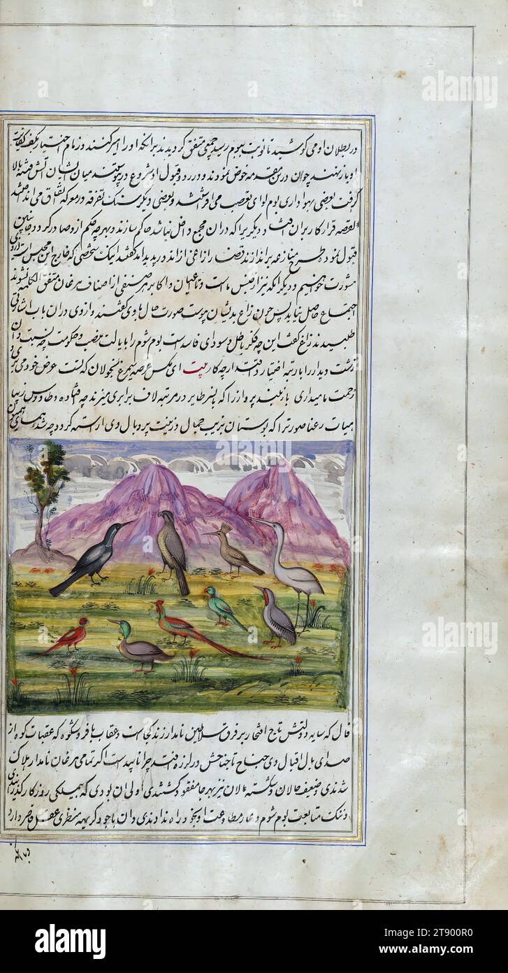 Le luci di Canopus, Un gregge di uccelli si riuniscono per eleggere un leader, si tratta di una copia illuminata e illustrata di Anvār-i Suhaylī (le luci di Canopus), risalente al XIII secolo AH / XIX. È una versione persiana di Kalīlah wa-Dimnah (le favole di Bīdpāy). È stato completato il 26 Jumādá i 1264 AH / 1847 CE da Mīrzā Raḥīm. Il testo è scritto in nastaʿliq con inchiostro nero e rosso, rivelando l'influenza della scrittura shikastah. Ci sono 123 dipinti che illustrano il testo. La rilegatura Qajar è originale per il manoscritto Foto Stock