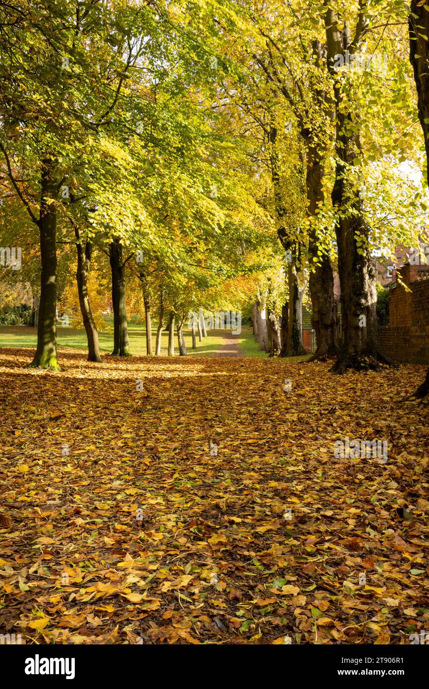 parco pubblico con foglie in autunno Foto Stock