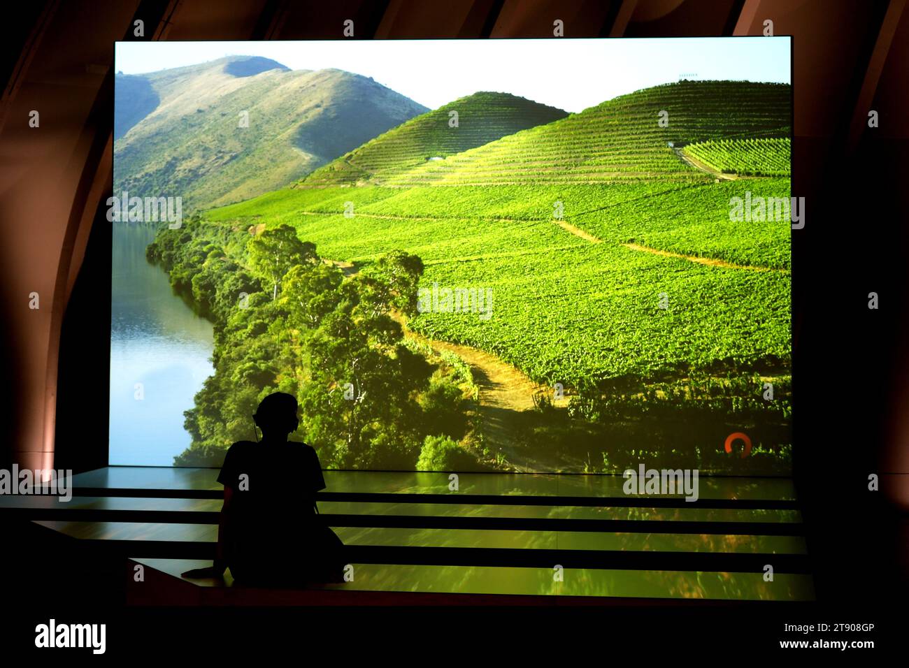 Persona che guarda un video alla Cité du Vin di Bordeaux in Francia Foto Stock