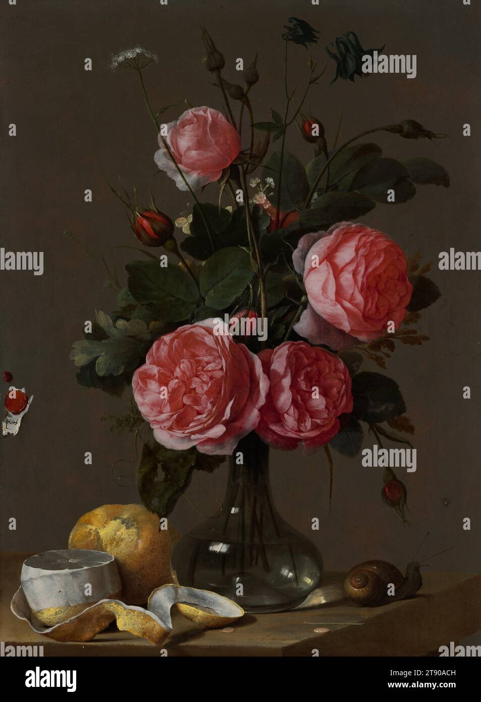 Floral STILL Life, 1670-1690, Cornelis de Heem, olandese, 1631–1695, 9/16 x 5/8 poll. (36,99 x 26,99 cm) (sight)21 9/16 x 17 5/8 x 2 1/8" (54,77 x 44,77 x 5,4 cm) (telaio esterno), olio su rame, Paesi Bassi, XVII secolo, Cornelis de Heem apparteneva a una famiglia di pittori di natura morta. Anche se è difficile datare con esattezza le sue opere, questa è stata collocata in ritardo nella sua carriera, perché il suo lavoro sembra essere diventato più piccolo e sempre più preciso. Qui mette in evidenza il realismo delle sue illusioni tentando di farci credere che un po' di carta sia stata attaccata alla superficie Foto Stock