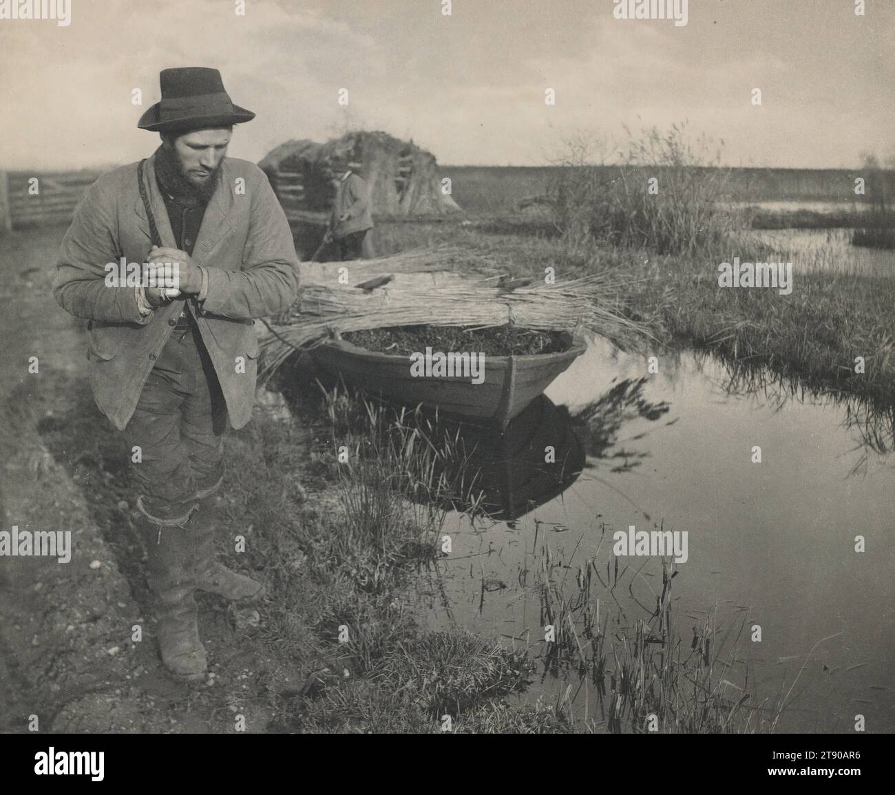 Towing the Reed, 1886, Peter Henry Emerson, inglese (nato a Cuba), inglese (nato a Cuba), 1856-1936, 13/16 x 3/4 poll. (22,38 x 27,31 cm) (immagine)11 7/16 x 1/8" (29,05 x 40,96 cm) (supporto), stampa platino, Inghilterra, XIX secolo Foto Stock