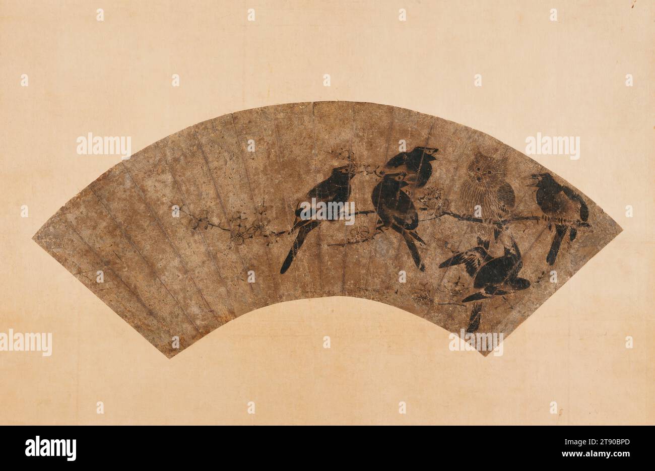 Owl and Crested Mynas on a Plum Branch, XIV - XVI secolo, sconosciuto giapponese, 8 5/8 x 20 poll. (21,91 x 50,8 cm) (immagine)54 9/16 x 26 7/8" (138,59 x 68,26 cm) (montaggio, senza rullo)14 1/2 x 22 1/8" (36,83 x 56,2 cm) (montaggio, montaggio interno), inchiostro su carta, Giappone, XIV-XVI secolo, la combinazione di un gufo con stormi di mynas o corvi crestati, sia uccelli rumorosi che torbidi, appare su una serie di dipinti a inchiostro a partire dagli anni '1500 In questo dipinto, cinque raucosi mynas crestate (un tipo di starling nativo della Cina) circondano uno stoico gufo intento a riposare su un ramo di prugna in fiore. Foto Stock