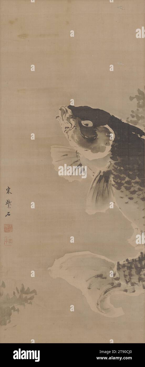 Carpa, seconda metà del XVIII secolo, Sō Shiseki, giapponese, 1715 - 1786, 25 7/8 x 10 15/16 pollici (65,72 x 27,78 cm) (immagine)61 7/8 x 7/8" (157,16 x 37,78 cm) (montaggio, senza rullo), inchiostro su seta, Giappone, XVIII secolo Foto Stock