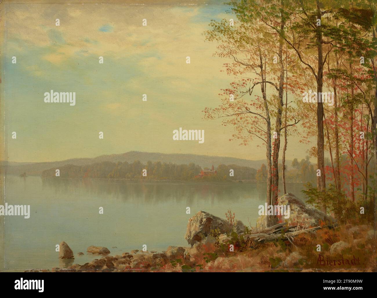 Landscape, c. 1890, Albert Bierstadt, American, 1830 - 1902, 5/8 x 5/8 poll. (34,61 x 47,31 cm) (tela)24 1/2 x 29 3/4 pollici (62,23 x 75,57 cm) (telaio esterno), olio su fresa montato su tela, Stati Uniti, XIX secolo, Albert Bierstadt fu una figura chiave della scuola del fiume Hudson, un gruppo di pittori che raffiguravano il paesaggio americano con un senso di scoperta e stupore. Il suo lavoro si inserisce nel movimento artistico del XIX secolo noto come Romanticismo, che enfatizzava l'emozione. Molti dei luminosi dipinti paesaggistici di Bierstadt furono ispirati dai suoi viaggi in luoghi aspri come le Montagne Rocciose Foto Stock