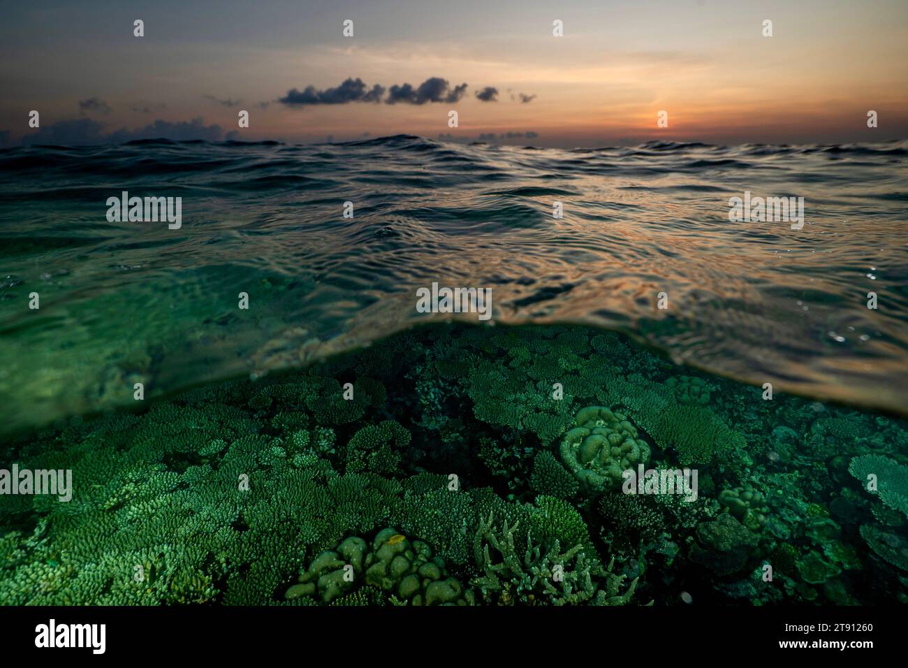 Barriera corallina della laguna di Mayotte al tramonto Foto Stock