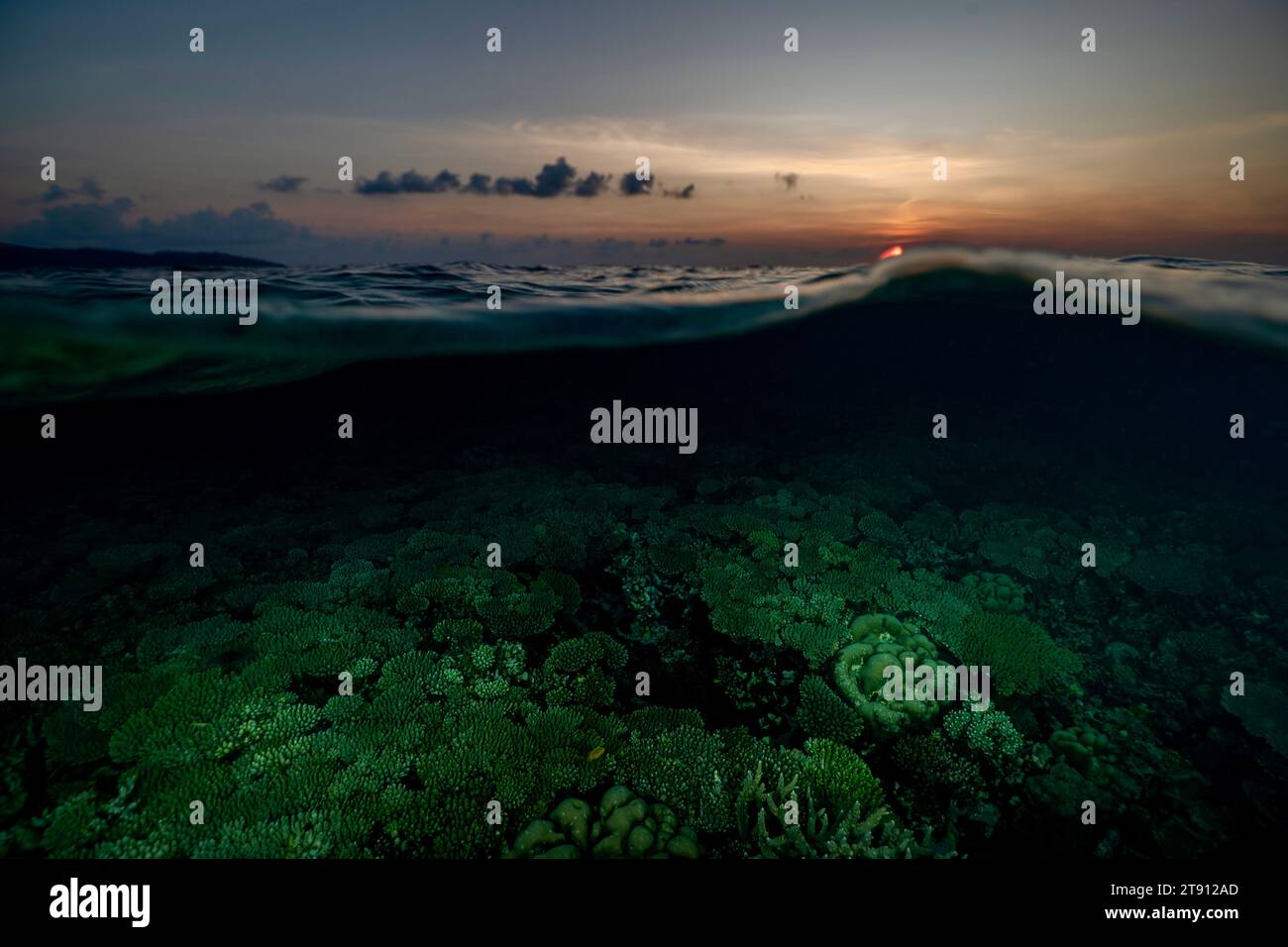 Barriera corallina della laguna di Mayotte al tramonto Foto Stock