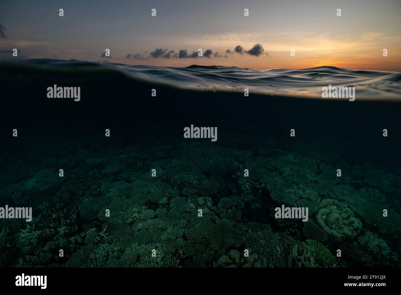 Barriera corallina della laguna di Mayotte al tramonto Foto Stock
