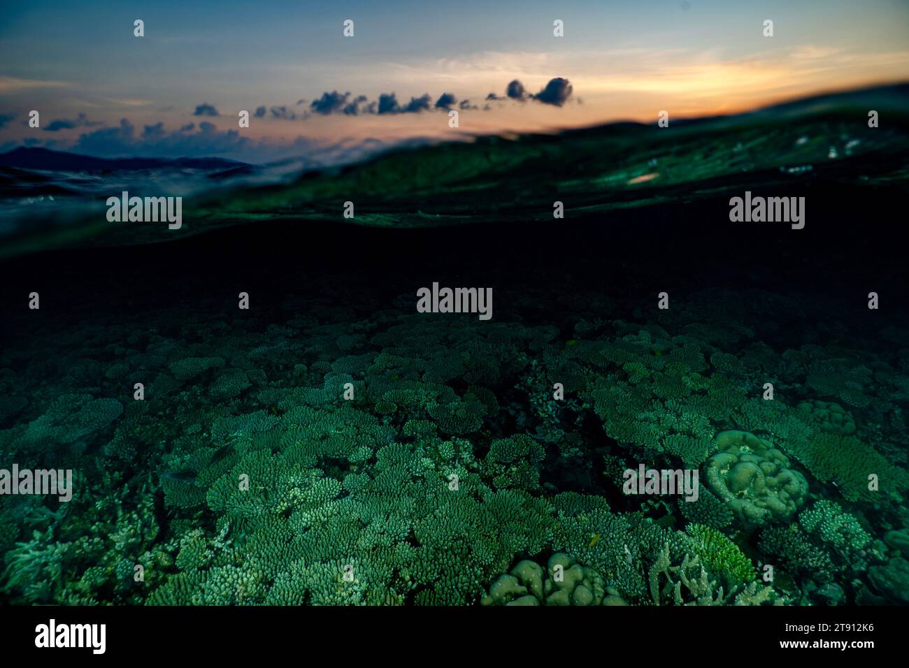 Barriera corallina della laguna di Mayotte al tramonto Foto Stock
