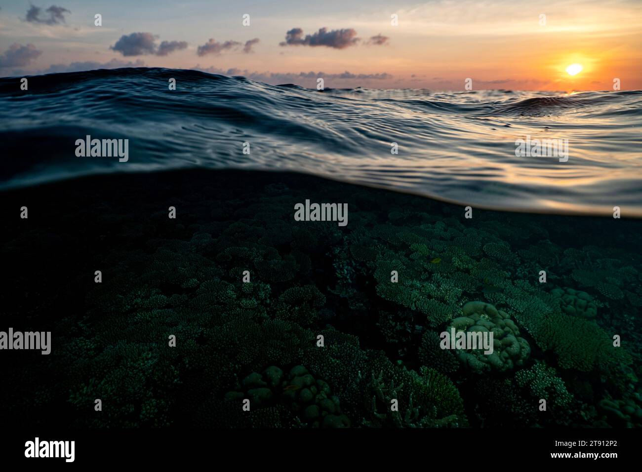 Barriera corallina della laguna di Mayotte al tramonto Foto Stock