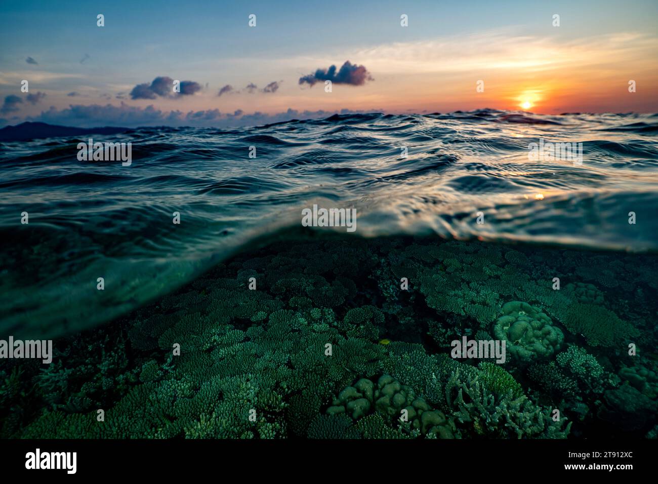 Barriera corallina della laguna di Mayotte al tramonto Foto Stock