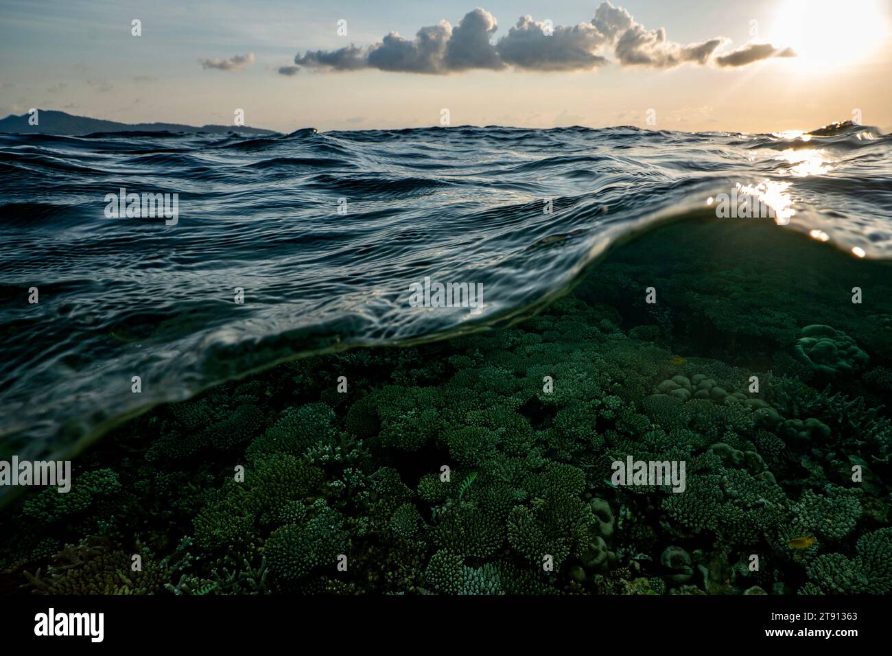 Barriera corallina della laguna di Mayotte al tramonto Foto Stock