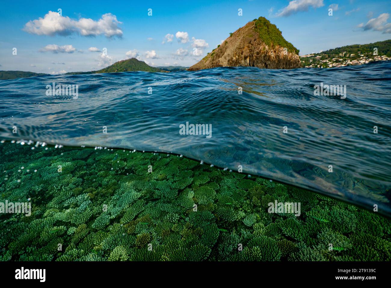 Barriera corallina della laguna di Mayotte al tramonto Foto Stock