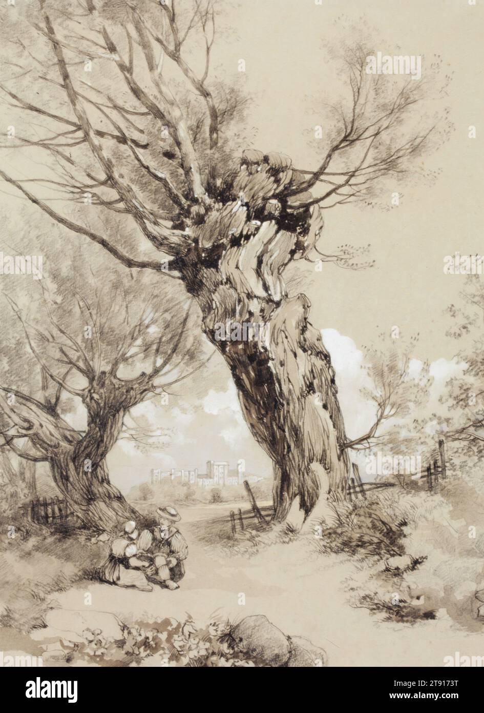 Landscape with figures under Pollarded Trees, c. 1850-1860, James Duffield Harding, British, 1798 - 1863, 18 x 3/8 poll. (45,72 x 33,97 cm) (foglio), gesso nero, lavaggi marrone e grigio e bianco che aumenta sulla grafite, Inghilterra, XIX secolo Foto Stock