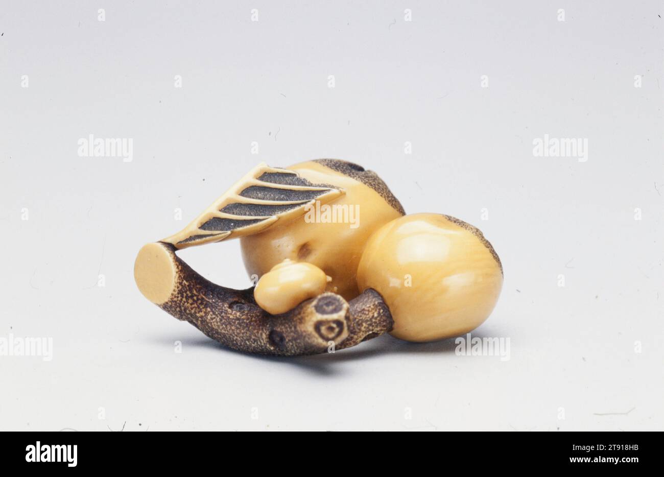 Netsuke biwa con lumaca, fine XIX secolo, sconosciuto giapponese, 1 3/8 x 1 9/16 x 7/8". (3,5 x 4 x 2,2 cm), Avorio, Giappone, XIX secolo Foto Stock