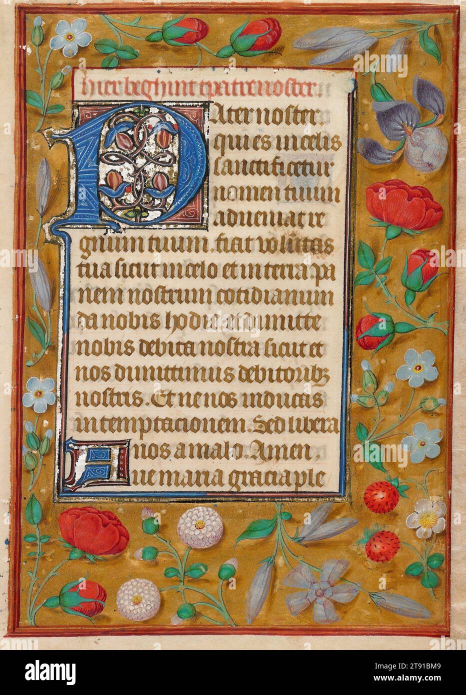 Leaf from a Book of Hours (recto e verso), c. 1500, Unknown Netherlandish, 5 3/4 x 3 3/4 in. (14,61 x 9,53 cm) (immagine)6 1/4 x 7/16" (15,88 x 11,27 cm) (foglio), inchiostro, guazzo e oro, Paesi Bassi/Fiandre, XV secolo, i libri fiamminghi delle ore erano spesso decorati con bordi di piante e animali su uno sfondo color oro. Qui, gran parte dell'oro utilizzato per abbellire le lettere decorate è stato raschiato, esponendo il bianco brillante del gesso usato per sigillare la superficie porosa della pergamena prima della doratura Foto Stock