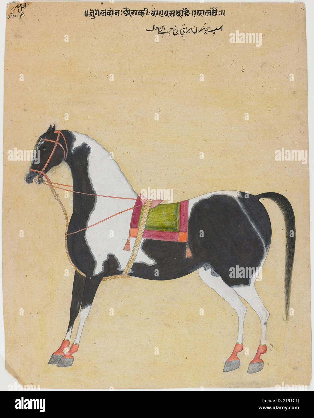 The Iraqi Steed Jugaldan, c. 1720, Bhavani Das, indiano, 12 1/4 x 9 5/8 poll. (31,12 x 24,45 cm), acquerello opaco su carta, India, XVIII secolo, un'iscrizione in Devanagari e scrittura persiana in cima a questo raro foglio firmato recita: "Il cavallo Jukaldan Ayragi con volto tenace appartenente al regno". Il dipinto è ulteriormente inscritto in scrittura persiana nell'angolo in alto a sinistra: "Opera del pittore Bhavani Das". I registri mostrano che Bhavani Das fu attirato nel 1719 dalla corte moghul di Agra per lavorare per il maharaja Raj Singh (r. 1706–48) a Kishangarh Foto Stock