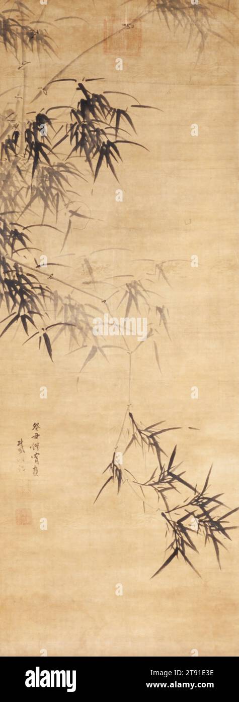 Bamboo, c. 1650, dai Mingyue, cinese, 1600 - 1665, 54 1/2 x 1/8 poll. (138,43 x 51,12 cm) (immagine), Ink on satin, China, XVII secolo, nativo di Cang Xian nella provincia di Hopei, dai Mingyue ha superato il suo esame nazionale di servizio civile nel 1634, appena dieci anni prima della caduta della dinastia Ming. Anche se lui e suo padre furono entrambi premiati con pennarelli imperiali dall'ultimo imperatore Ming, dai continuò a servire come presidente del Consiglio di guerra nella successiva dinastia Qing. Era ben noto per i suoi successi letterari e rimase un eccezionale pittore di bambù per tutta la sua vita Foto Stock