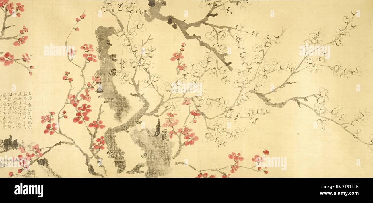 White and Red Plum Blossom, 1546, Wang Guxiang, cinese, 1501-1568, 3/4 x 127 1/4 poll. (29,85 x 323,22 cm) (immagine), inchiostro e colore su carta, Cina, XVI secolo, Wang Guxiang nacque in un'eminente famiglia di medici. Eccellendo in prosa antica, poesia e calligrafia, fu istruito dal grande letterato Wen Zhengming, e nel 1529 superò l'esame jinshi (dottorato) ed entrò al servizio del governo. Quando la sua carriera ufficiale terminò prematuramente nel 1534, Wang tornò a Suzhou e iniziò una carriera artistica con altri letterati della scuola Wu incentrati intorno a Wen Zhengming Foto Stock